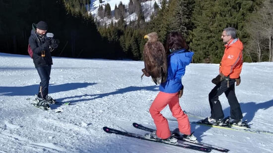 Skiez avec les aigles