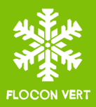 logo flocon vert